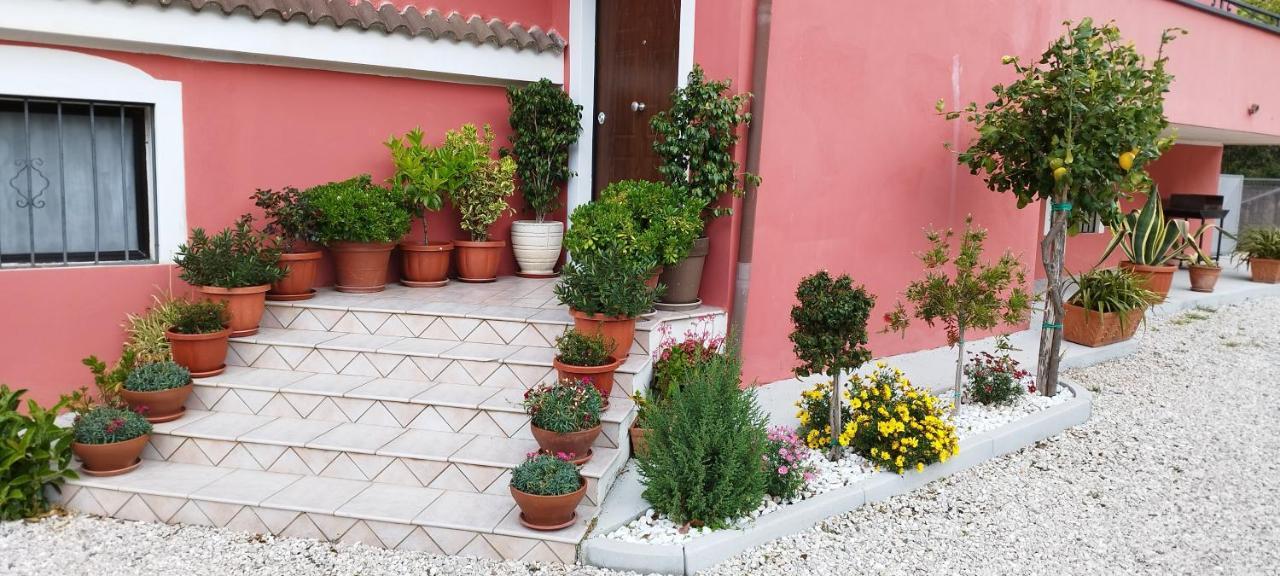 Casa Barone Farm stay Roccadaspide
