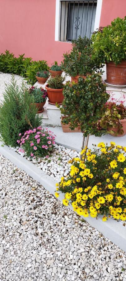 Casa Barone Farm stay Roccadaspide