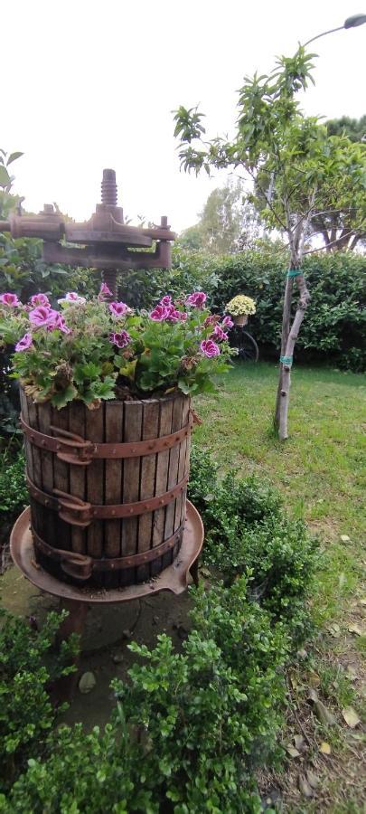 Farm stay Casa Barone