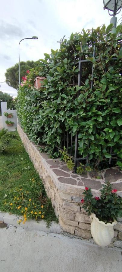 Farm stay Casa Barone *