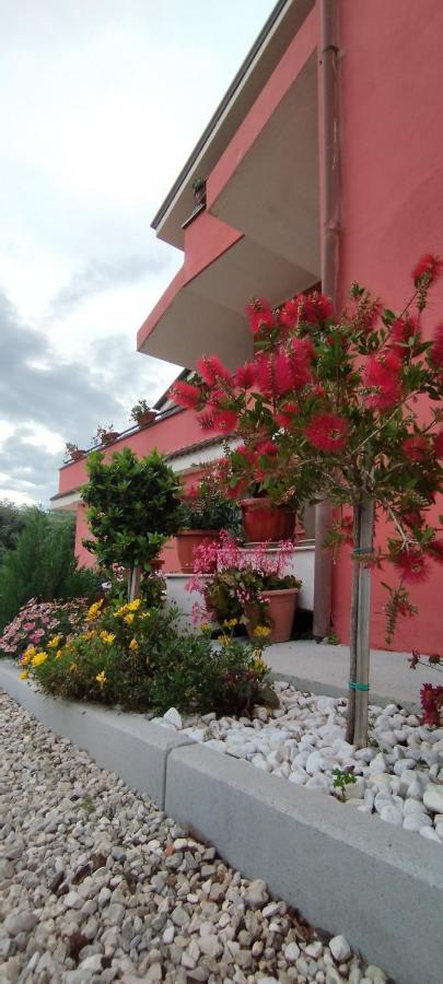 Farm stay Casa Barone