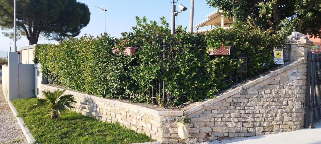 Farm stay Casa Barone Roccadaspide