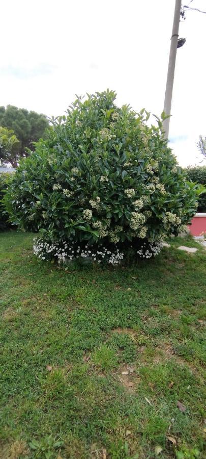 Farm stay Casa Barone